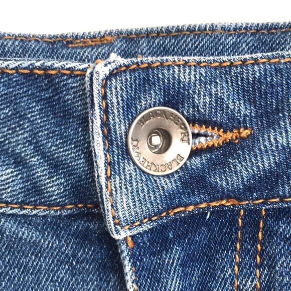 Blackheart hi rise denim shorts frayed & net sz 0 - Picture 2 of 8